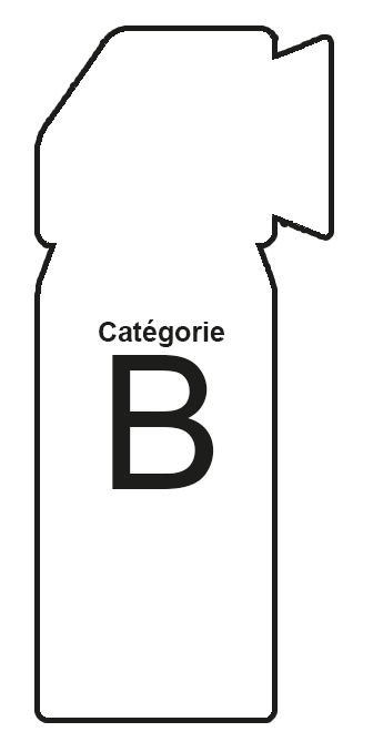 Aérosol GEL CS 80 300 ml avec poignée - Cat. B