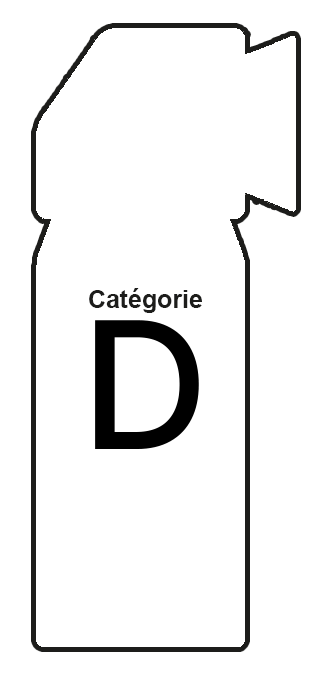 Armes de catégorie D